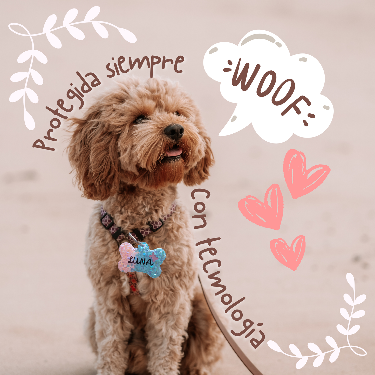Placa identificativa para mascotas